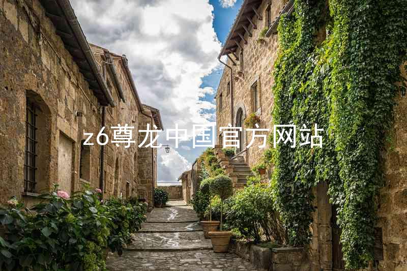 z6尊龙中国官方网站