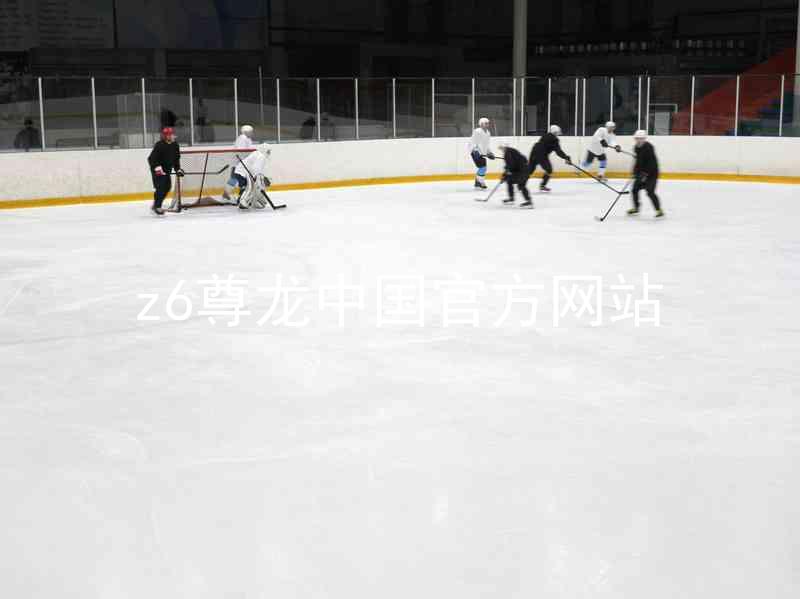 z6尊龙中国官方网站